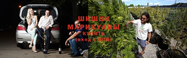 мяу мяу мука Белокуриха