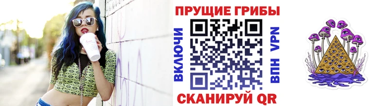 Галлюциногенные грибы прущие грибы  Куйбышев 
